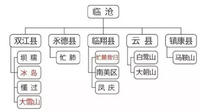 探究冰岛普洱茶苦味来源：工艺、存条件还是其他因素？