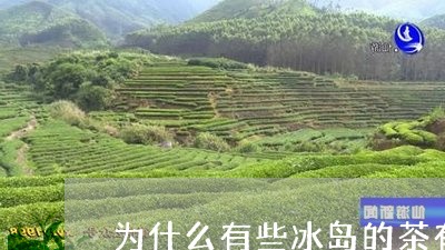 冰岛普洱茶为什么发苦