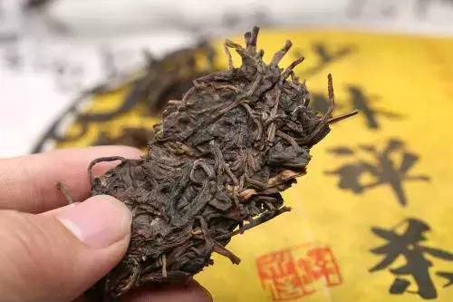 生普洱属于什么类型的茶叶？