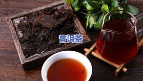 探究生普洱茶：制作过程、口感、功效与品鉴要点