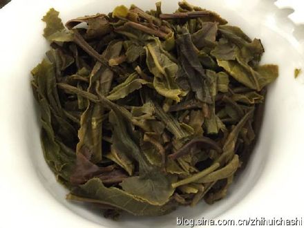 斗记普洱茶官方冲泡指南：一份完整的品茗之道