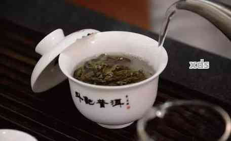 斗记普洱茶官方冲泡指南：一份完整的品茗之道