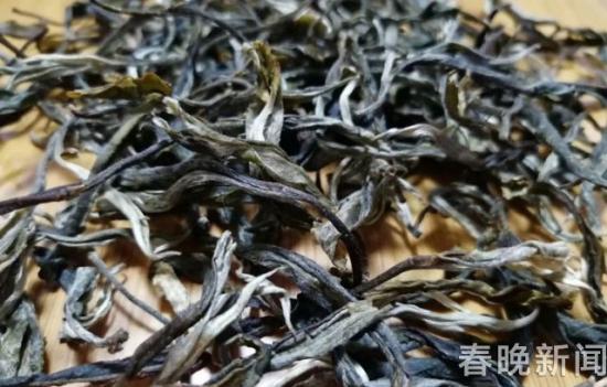 五年普洱茶价格走势与影响因素分析：全面了解消费者关心的问题