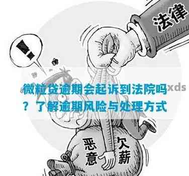 微立贷逾期5万被起诉