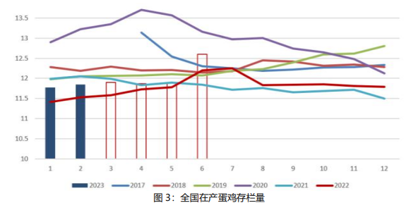 2008年五彩雀茶的价格走势、市场分析及品鉴技巧：一篇全面的指南