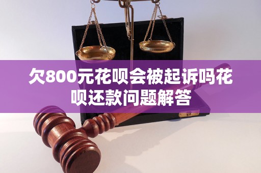 花呗欠款800会不会被立案