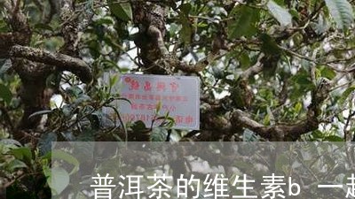 普洱茶含维生素B1