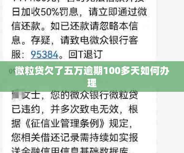 微立贷19000逾期一年如何解决