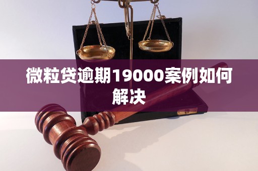 微立贷19000逾期一年如何解决