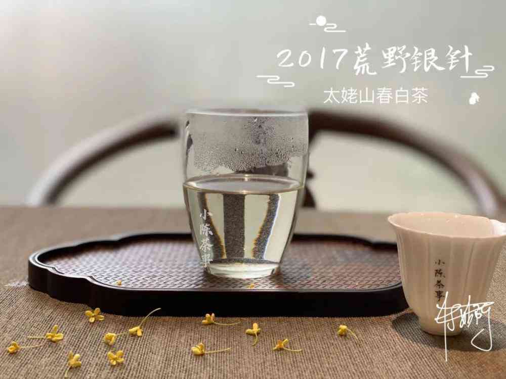 普洱茶与红茶：功效对比与选择指南