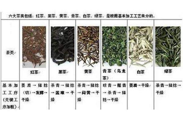 了解十大名茶的种类及特点