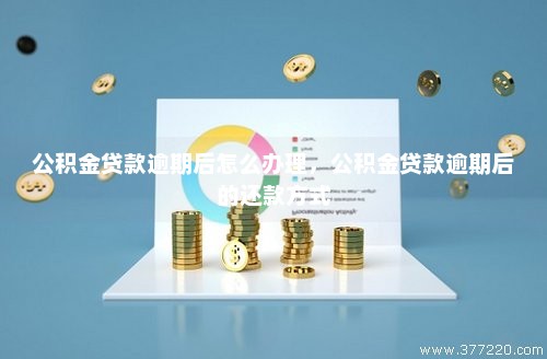 公积金贷款转逾期怎么处理