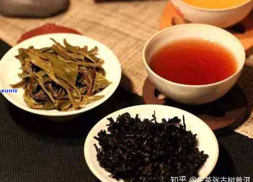 茶叶生茶和熟茶哪个好