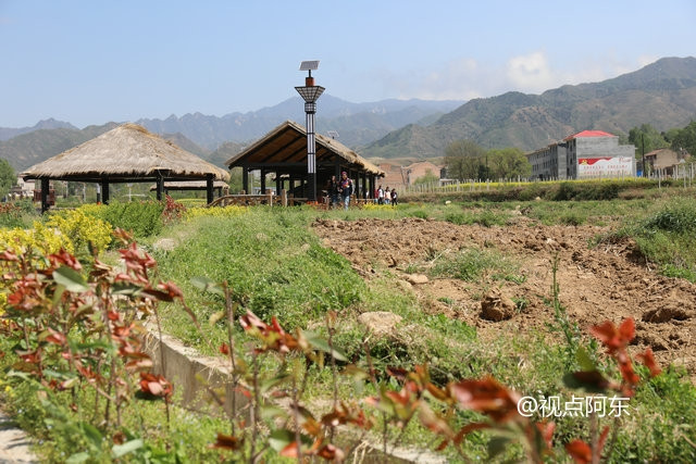 蓝田旅行：探寻更佳玉米购买地点及其周边景点