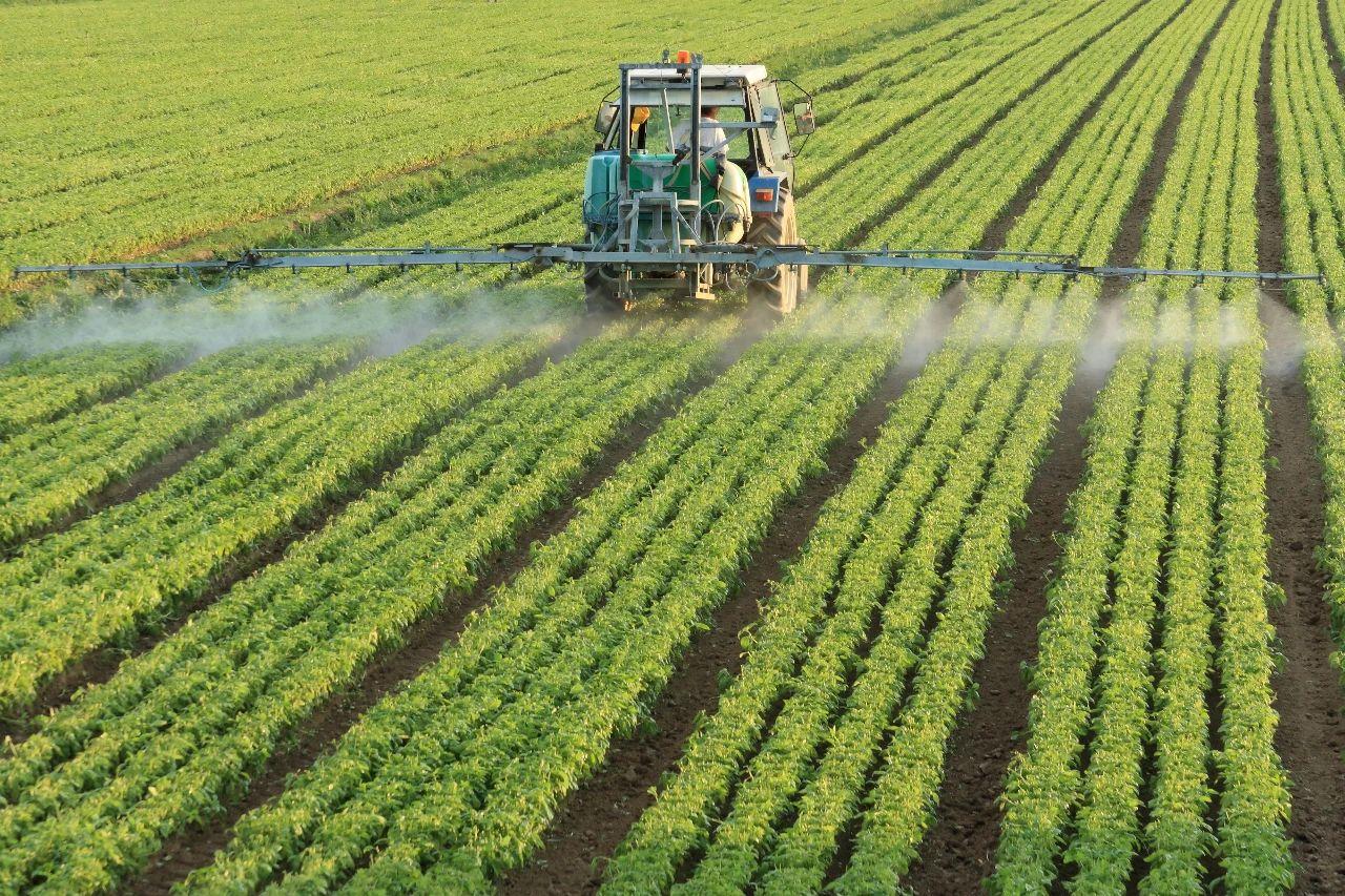 英茂茶叶：涵酒业、集团、药业、农化科技、生物农业等领域的综合性企业。