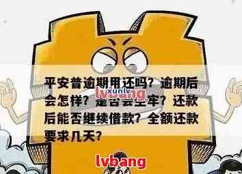 平安金所贷逾期后的处理方式是什么