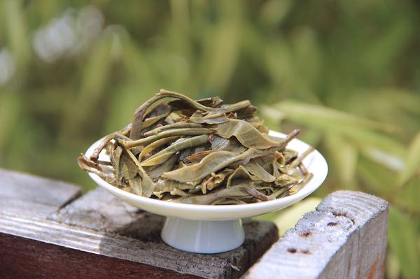 普洱茶生茶存湿度的影响及其湿度范围探讨