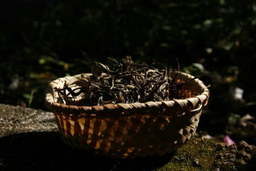 普洱茶饼的湿度及其原因：了解茶叶的真实状态