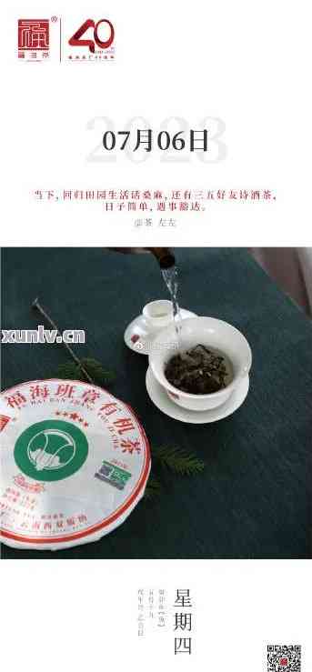 福海茶厂普洱茶：品质、历、制作工艺、功效与泡法全方位解析