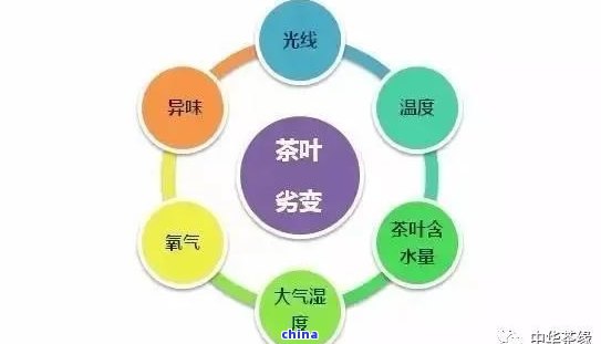 探究影响茶叶品质的关键因素：从存到氧化过程的全面分析