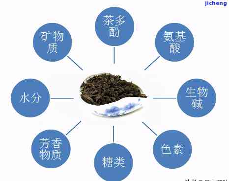 探究影响茶叶品质的关键因素：从存到氧化过程的全面分析