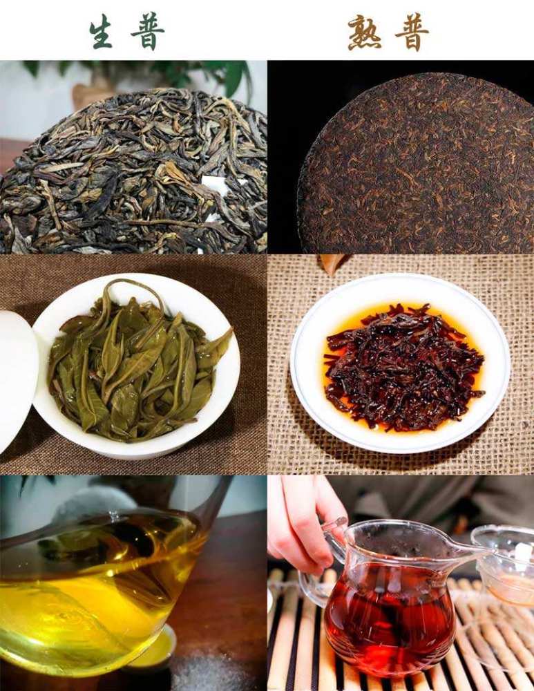 普洱茶泡出来的颜色：熟茶和生茶有什么区别？