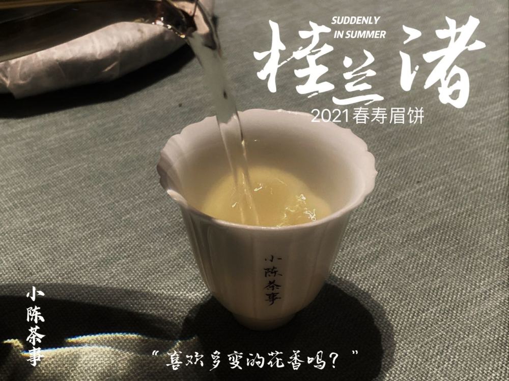 老班章饼茶的品饮方法与技巧：如何正确饮用以更大限度地体验其风味？