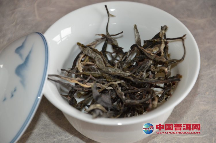 '古树茶新茶好还是老茶好：品味区别与选择建议'