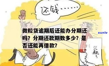 欠微立贷还是欠借呗好