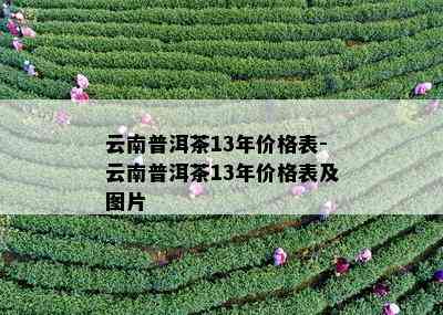 普洱茶云仓实业和三月滇-三月滇普洱茶价格