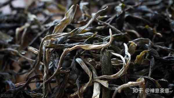 普洱茶：绿茶还是红茶？揭开普洱茶的真实面貌