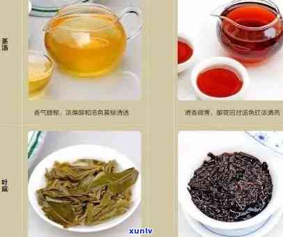 普洱茶是绿茶吗还是红茶好