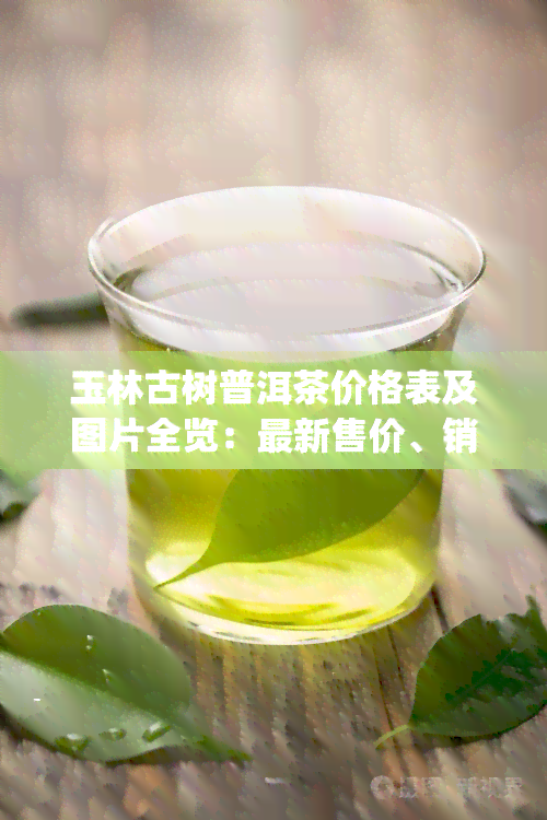 新金玉环名茶的高品质与价格解析 - 全面了解您的理想饮品成本