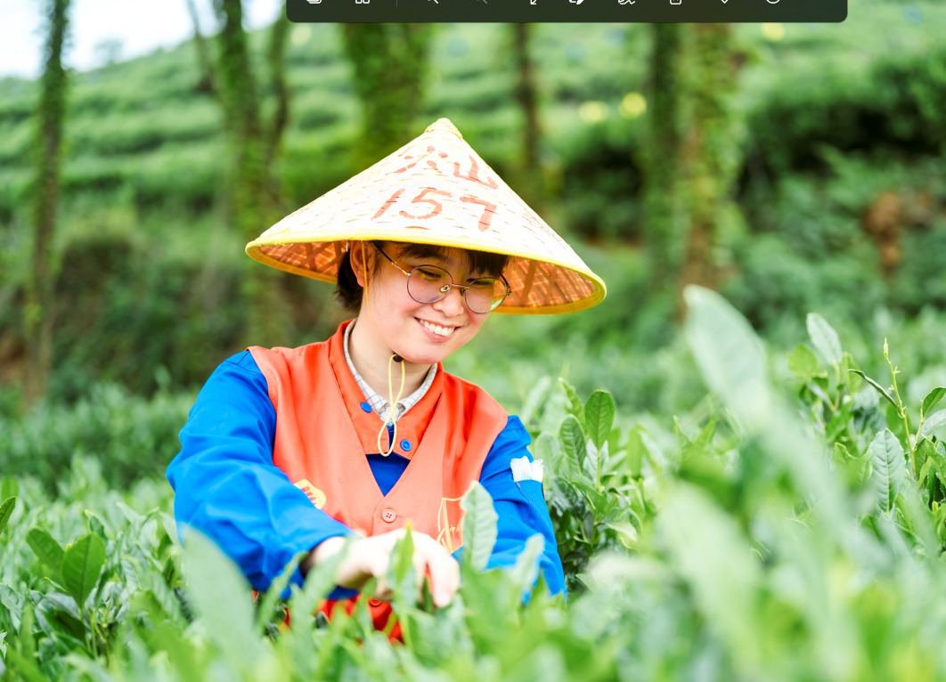 浙江玉环特产茶叶价格解析：品种、品质与市场趋势影响每斤售价