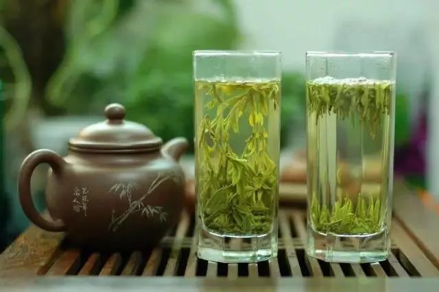 素有茶王之称的是什么茶类，是绿茶。