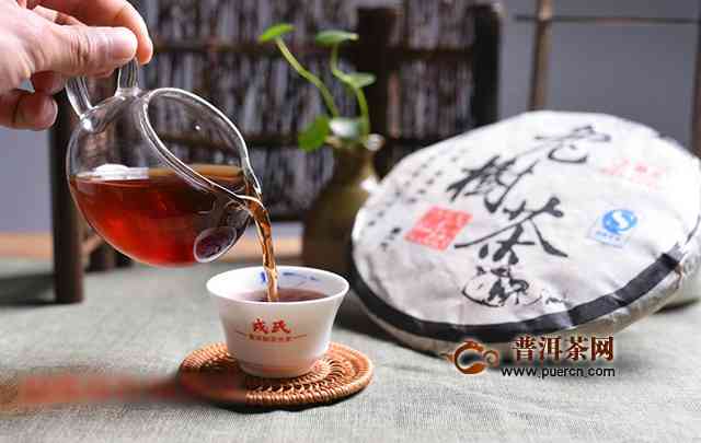 老树冰岛茶头的品质：冰岛老树茶的特点与价格 - 2018年最新价格表