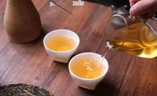 泡普洱茶的全流程指南：从洗茶到品鉴，你需要了解的一切