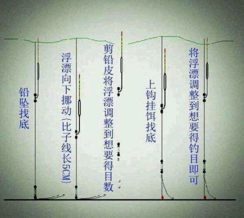 普洱茶钓鱼新套路：揭秘台钓新技巧