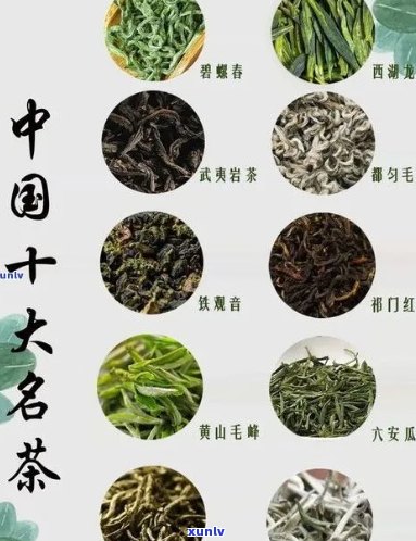 各地特色茶叶一览：品味中国茶文化的不同魅力