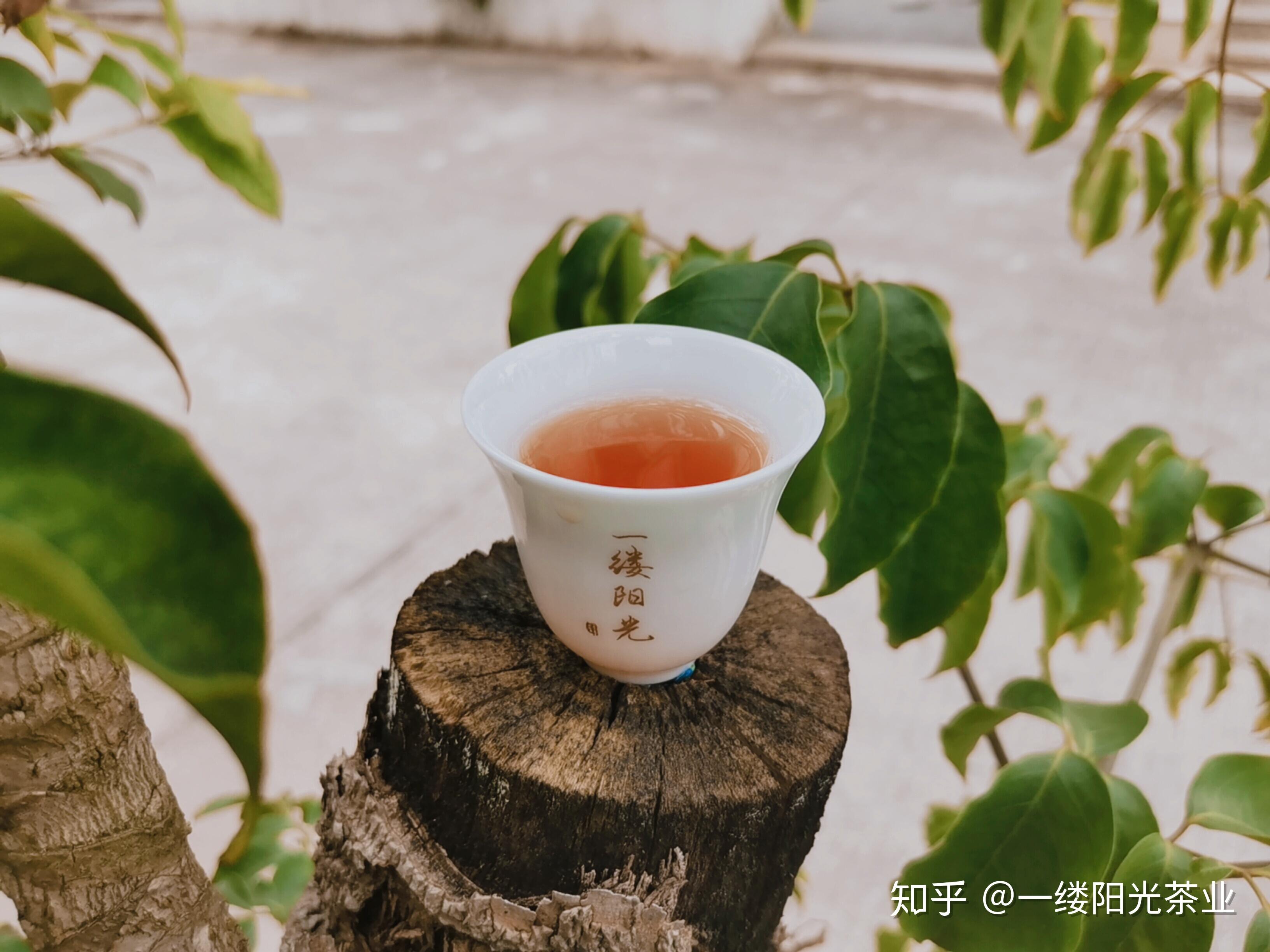 为什么喝了茶叶水恶心要吐