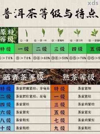 新 电茶壶冲泡普洱茶的理想选择：哪些种类的普洱茶最适配？