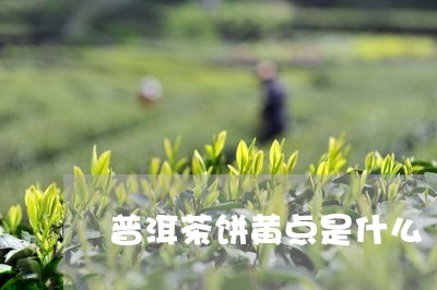 6月出产的普洱茶