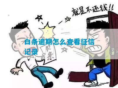 白条金条逾期上怎么看如何处理