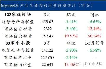 独龙玉：颜色解读与价值评估