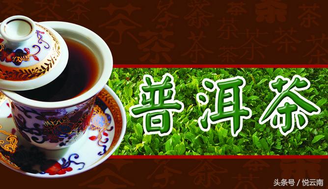 2017年普洱茶斗茶大赛