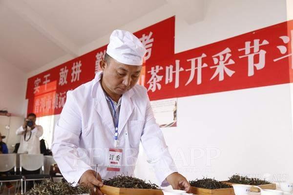 2017年普洱茶斗茶大赛