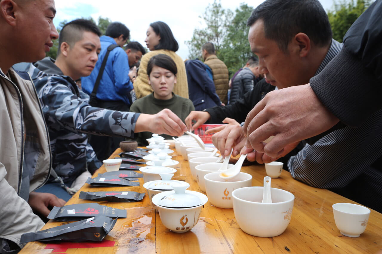 2017年普洱茶斗茶大赛