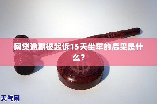 网贷逾期被起诉法院案例