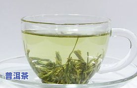 新普洱茶、黑茶与绿茶，哪种茶的特殊之处更引人入胜？