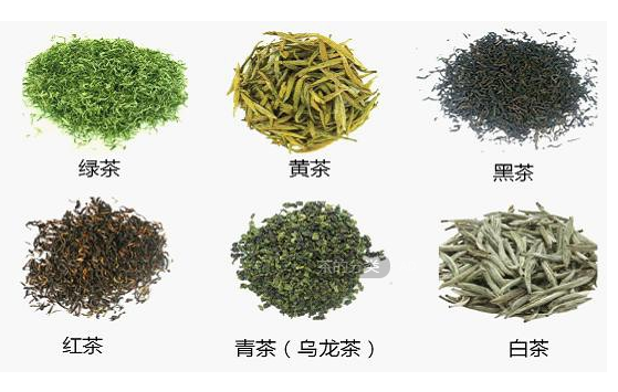 新普洱茶、黑茶与绿茶，哪种茶的特殊之处更引人入胜？